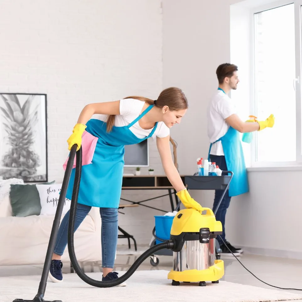Expert Stain Removal 1