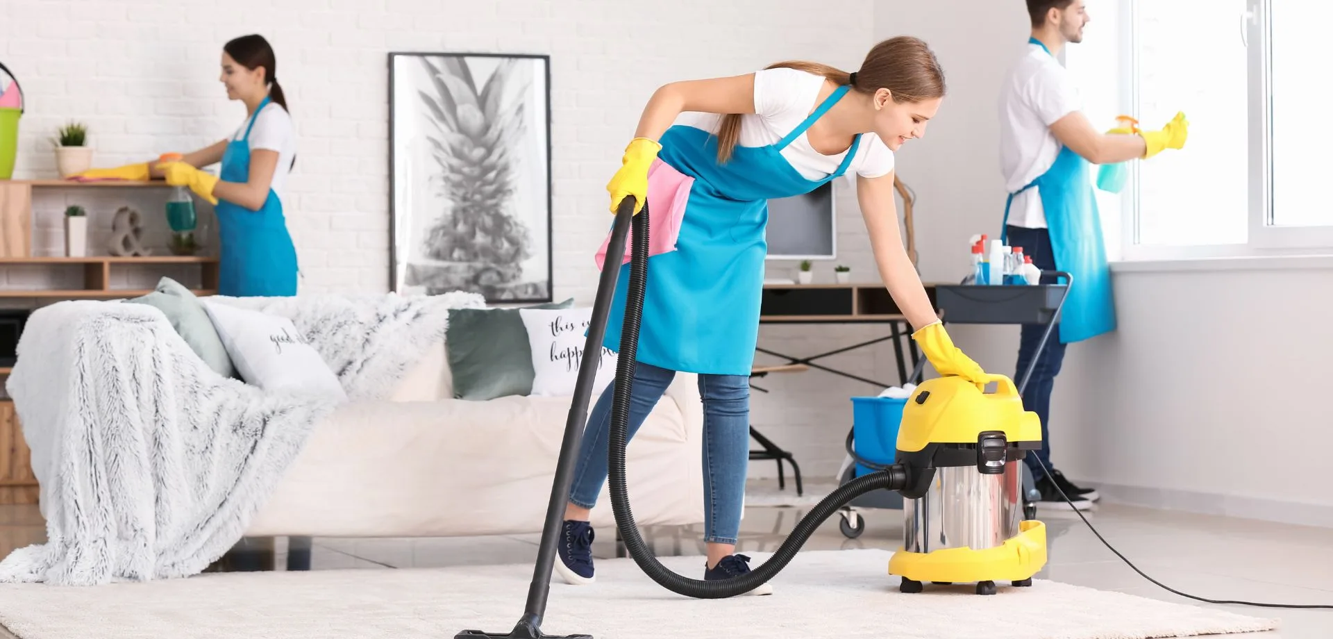 Expert Stain Removal