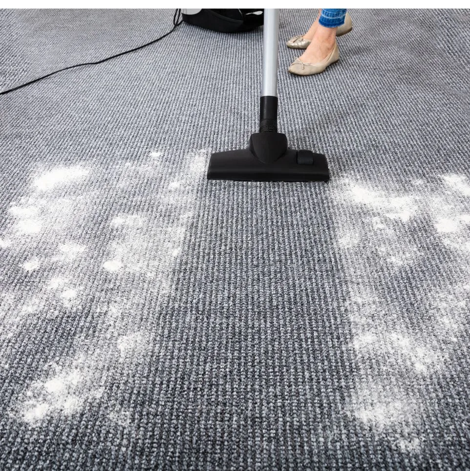 Thorough Vacuuming 1
