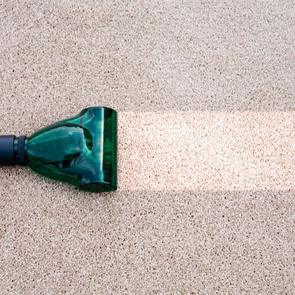 Deep Cleaning Carpets and Rugs