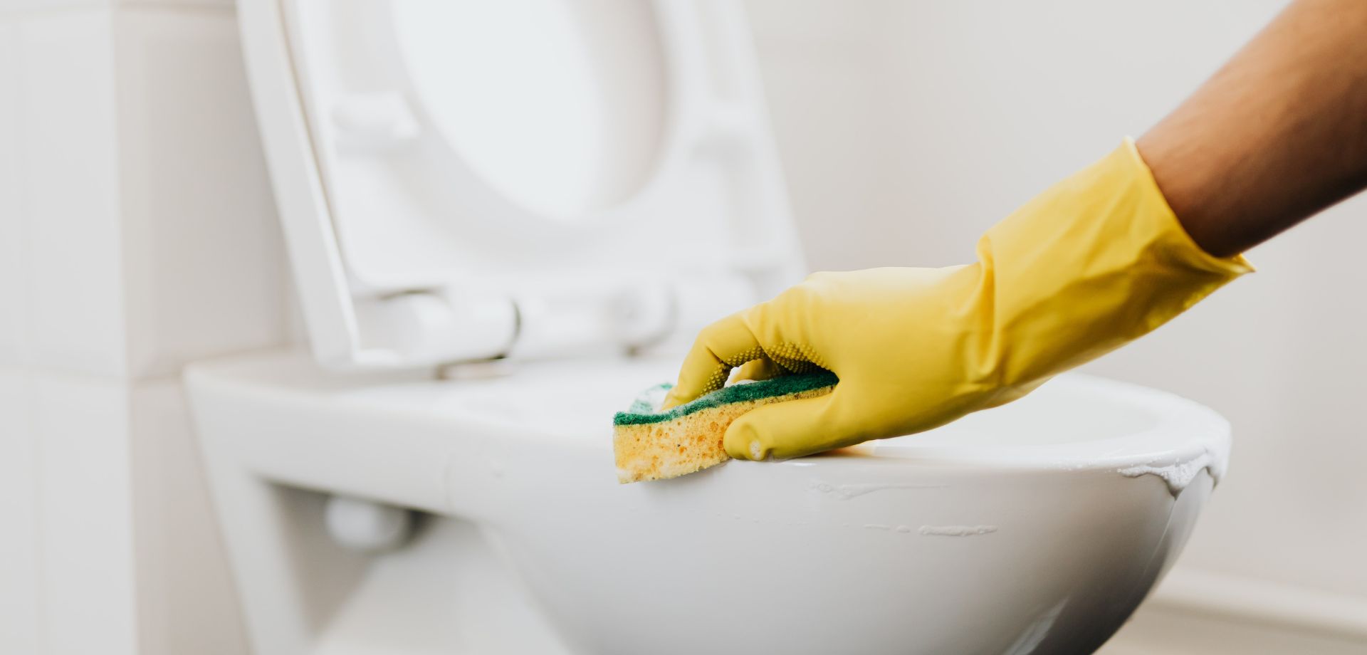 Toilet and Washroom Cleaning desktop