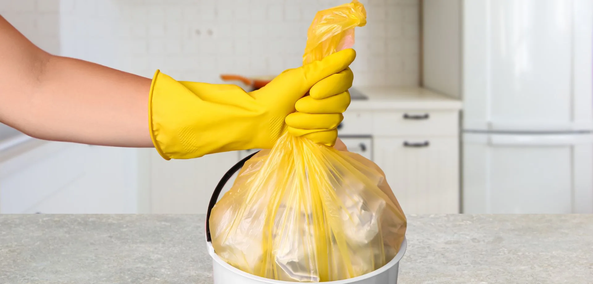 Commercial Bin Cleaning