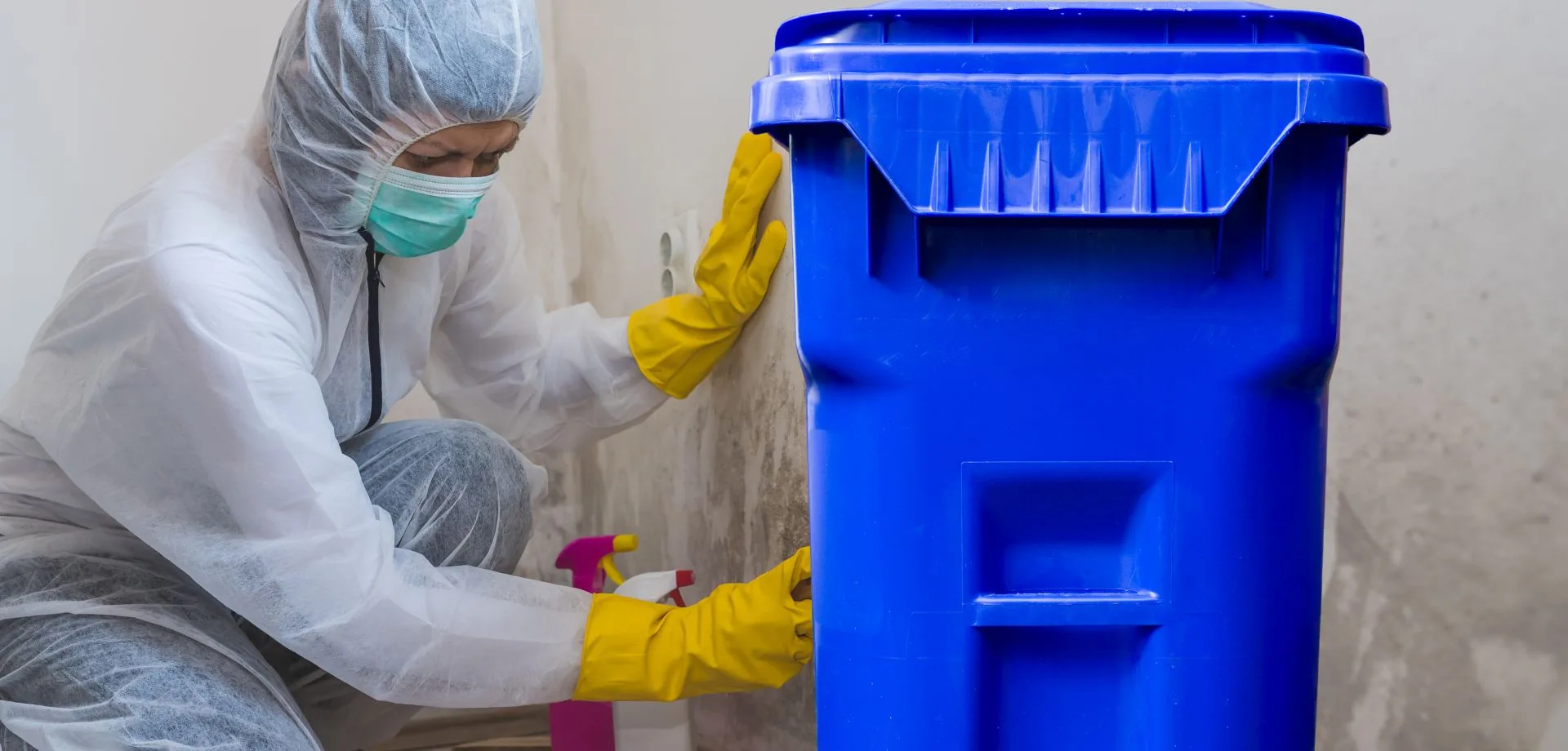 Residential Bin Cleaning