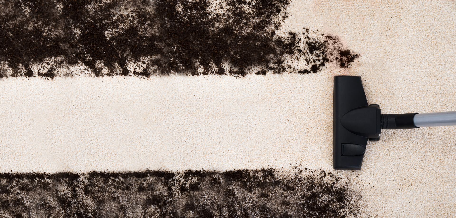 Carpet Cleaning Brunswick 01