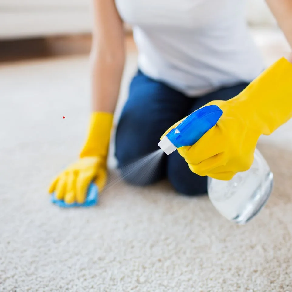 Carpet and Upholstery Cleaning-mobile