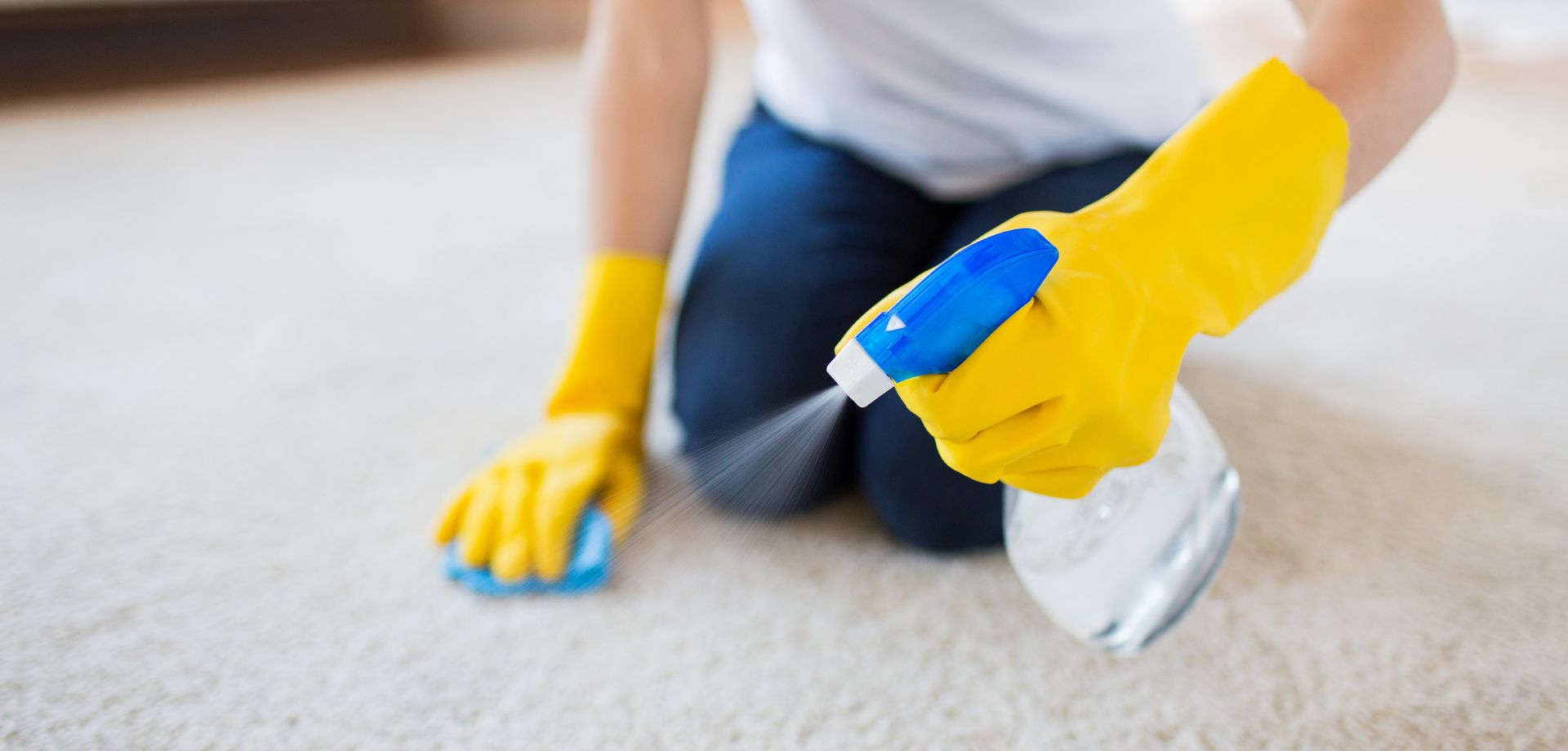 Carpet and Upholstery Cleaning